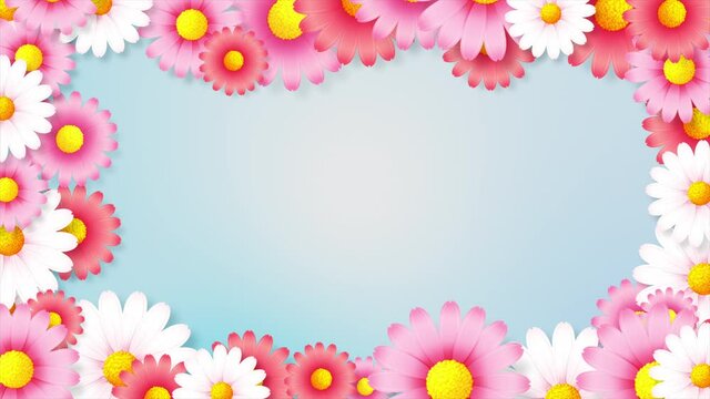 Abstract background animation of beautiful flower rotation and blooming, Blank frame and flower with copyspace over pink background for spring and summer vacation

