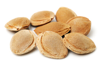 apricot kernel isolated on white background