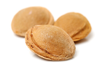 apricot kernel isolated on white background