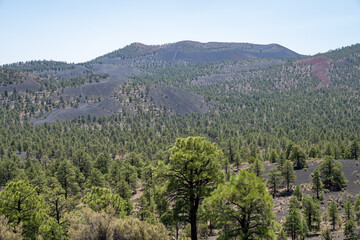 View of the surrounding area of Sunset Crater Volcano National Monument in Arizona