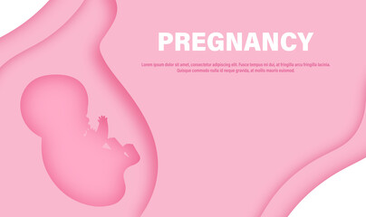 Banner, poster, illustration with embryo, baby in the belly in cut paper style with text Pregnancy and place for your text. 