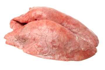  pig lung isolated on a white background
