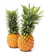 Fototapeta premium pineapple on white background