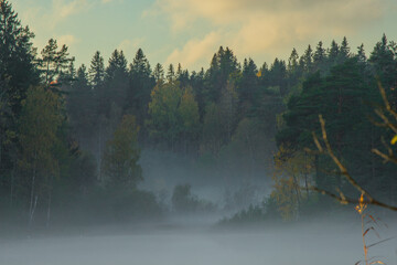 a lake in the forest shrouded in a misty haze