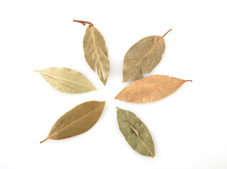 A few aniseed jasmine leaves posing on a white background