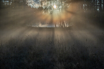 the sun piercing the fog with its rays