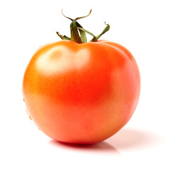 tomato isolated on white background