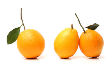 Orange fruit on the white background 