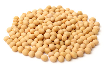 gold soybean isolated on white background 