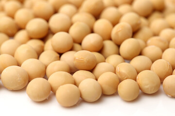 gold soybean isolated on white background 