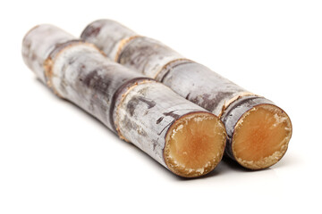 Sugar cane isolated on white background