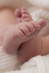 Newborn baby feet