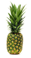 Fototapeta premium pineapple on white background