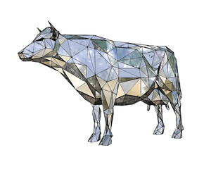Low-poly sketch illustration of a generic cow. - 441303213