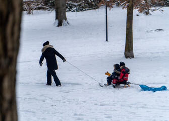 parent and children in the snow carrying them 