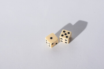 pair of white dice