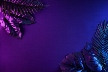 Moody contemporary illuminated night background with copy space and tropical exotic palms in a...