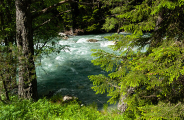 A mountain river with green water in a pine forest on the way to Bombay. Caucasus, Russia.