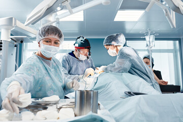 A real operation, a woman surgeon gives instruments, during a plastic operation, against the...