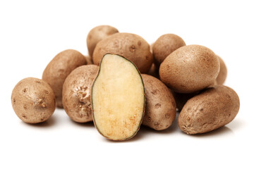 Fototapeta premium Dioscorea opposita on white background 