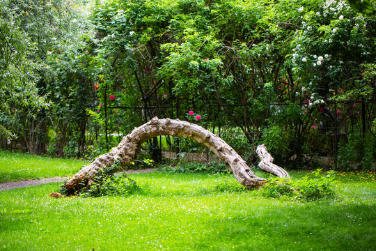 The Borstei is a listed housing estate in the Munich district of Moosach, garden in the Borstei