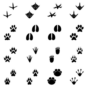animal footprint icon set vector sign symbol