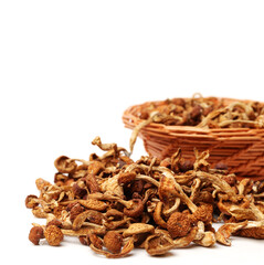 Fototapeta premium dried mushroom on white background