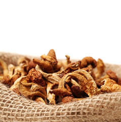 dried mushroom on white background
