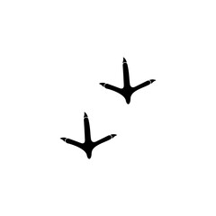chicken footprint icon set vector sign symbol