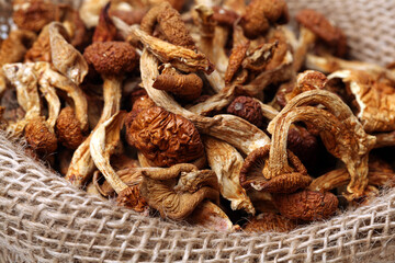 dried mushroom on white background
