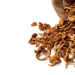 dried mushroom on white background