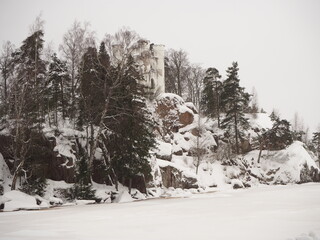 Winter forest. Trees under the snow 