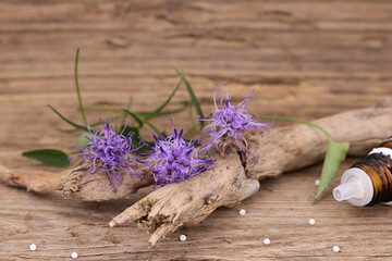 Hintergrund gesund leben - die sehr seltene Naturheilpflanze Teufelskralle mit ihren dazugehörigen...