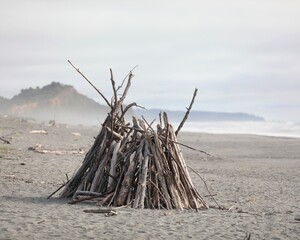 A Pyre of Driftwood on a Beach in Northern California