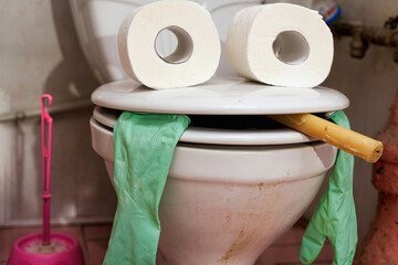 Funny face created from toilet seat and toilet tissue rolls in the toilet