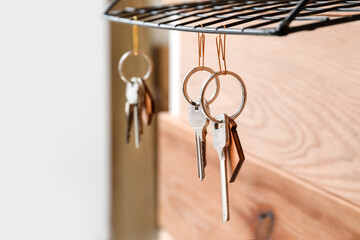 Key holder hanging on wooden wall, closeup