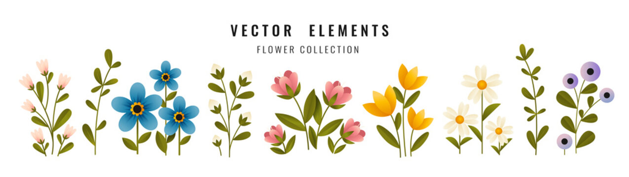 Set of multicolored blooming flowers and branches of plants. Summer flowers flat vector isolated on white background. 