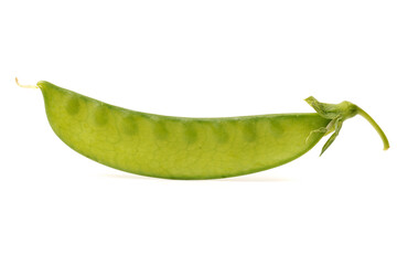 snow pea isolated on white