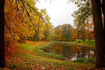 Pond in the park with colorful trees around