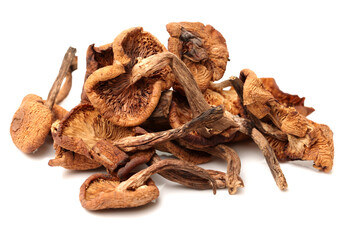 dried mushroom on white background