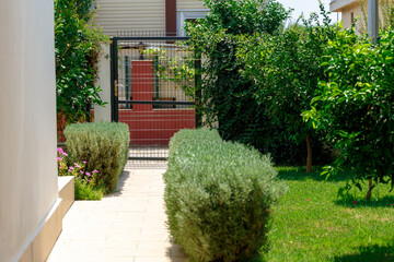 Gate of a green garden with bushes and trees