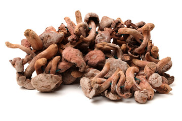 dried mushroom on white background