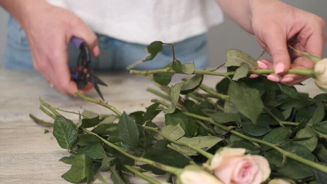 Woman ctting and sorting roses in flower shop