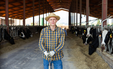 Fototapeta premium Positive american Male farmer in strow hat posing against background of cows in stall