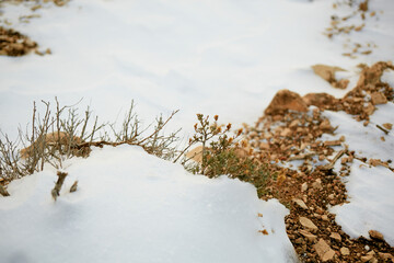 grand canyon national park