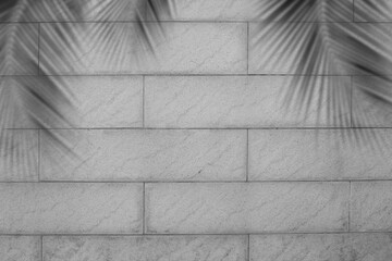 Palm leaves shadow on brick black and white and blured. silhouette coconut on structure dark cement display with free space.new design for tourist travel tropical holidays summer nature concept.