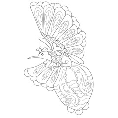 Contour linear illustration for coloring book. Beautiful tropical exotic bird,  anti stress picture. Line art design for adult or kids  in zentangle style and coloring page.