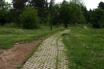 Fototapeta na wymiar A paved walkway leading into the forest. Bolu Abant Turkey