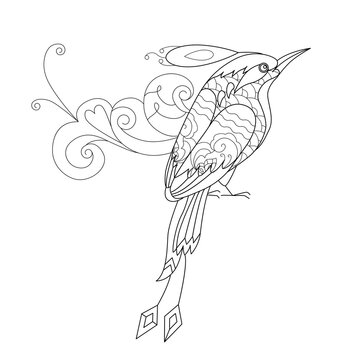 Contour linear illustration for coloring book. Beautiful tropical exotic bird,  anti stress picture. Line art design for adult or kids  in zentangle style and coloring page.