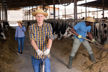 Portrait of a confident young male farmer standing in a cowshed with a shovel in his hand. Close-up...